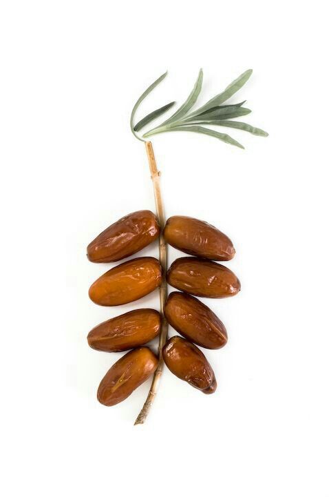 Customs Clearance & Import Regulations for Bulk Iranian Dates in EU, Middle East & Africa